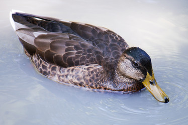 Similar image 1228232