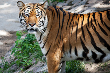 Similar image 1228233