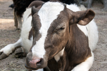 Similar image 1228259