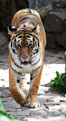 Similar image 1228261