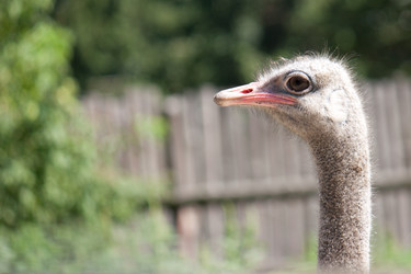 Similar image 1228274