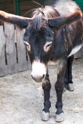 Similar image 1228312