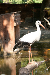 Similar image 1228316