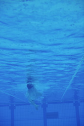 Similar image 1228339