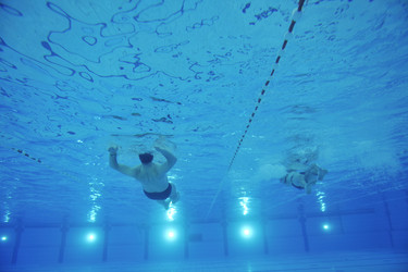 Similar image 1228387