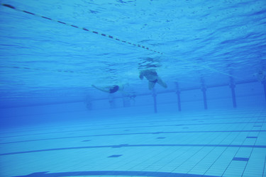 Similar image 1228409