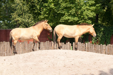 Similar image 1228419