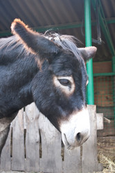 Similar image 1228420