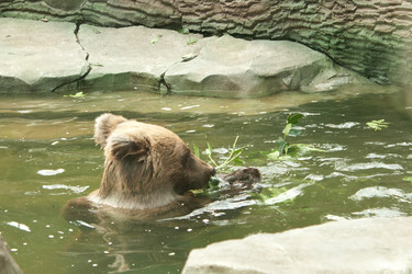 Similar image 1228426