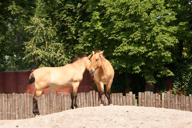 Similar image 1228427