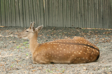 Similar image 1228460