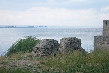 Similar image 1228477