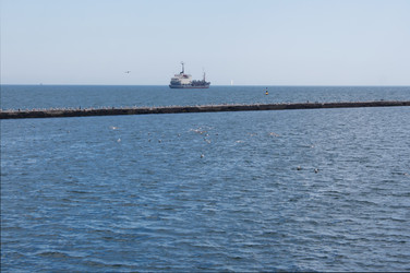 Similar image 1228495