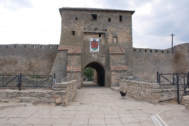 Similar image 1228533