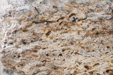 Similar image 1228578