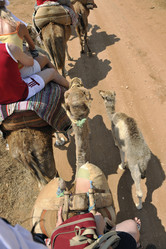 Similar image 1228600