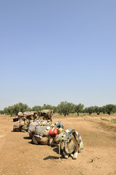 Similar image 1228607