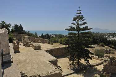 Similar image 1228620