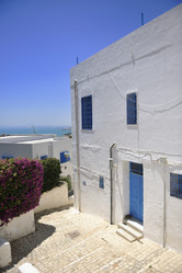 Similar image 1228671