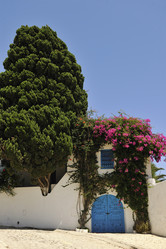 Similar image 1228672