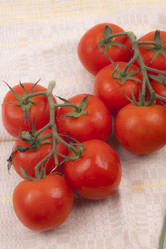 Similar image 1228709