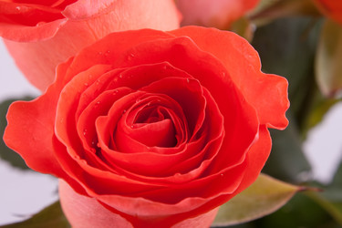 Similar image 1228715