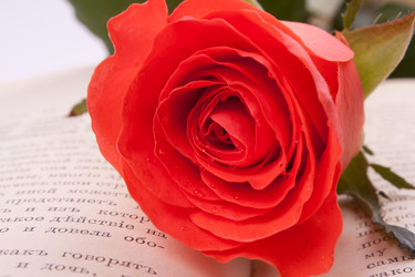 Similar image 1228788