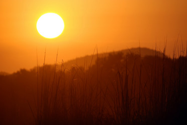 Similar image 1228800