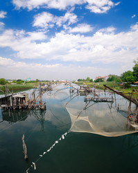 Similar image 1228831