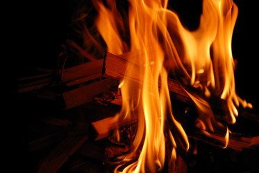 Similar image 1228949