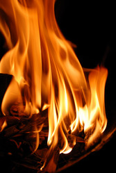 Similar image 1228951