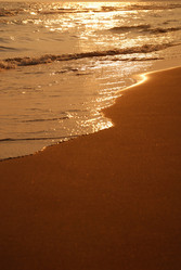 Similar image 1228952