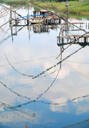 Similar image 1229007