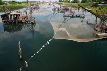 Similar image 1229010