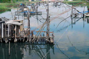 Similar image 1229013