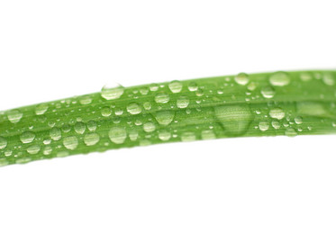 Similar image 1229032