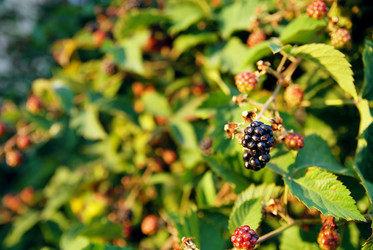 Similar image 1229113