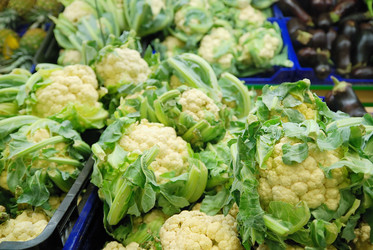 Similar image 1229157