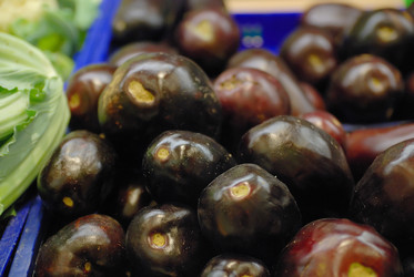 Similar image 1229170