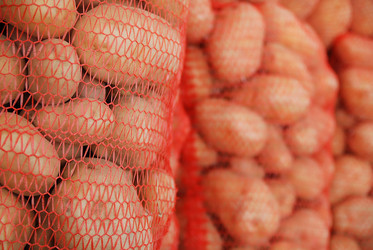 Similar image 1229218