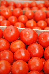 Similar image 1229224