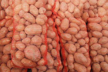 Similar image 1229226