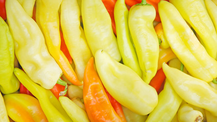 Similar image 1229236