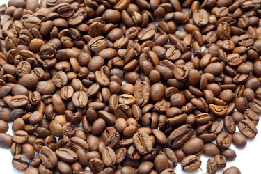 Similar image 1229248