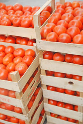 Similar image 1229257