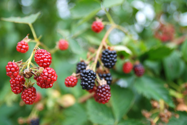 Similar image 1229272