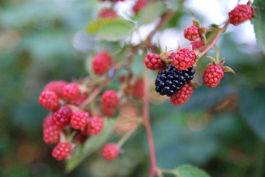 Similar image 1229275