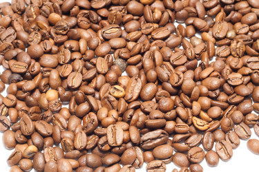 Similar image 1229295