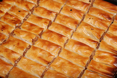 Similar image 1229325