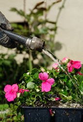 Similar image 1229440